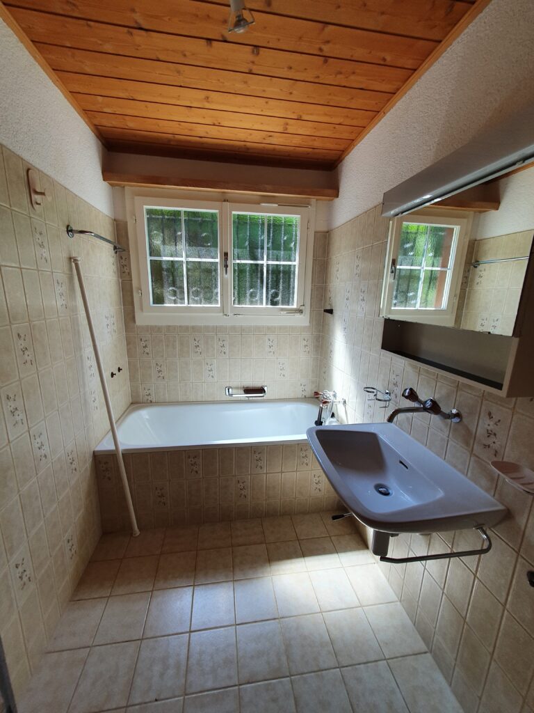 Badezimmer vor der Renovation